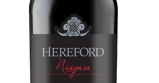 Nuevo Vino Hereford Niágara