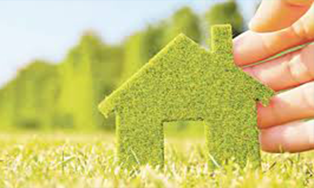 ¿Cómo hacer tu hogar más sustentable?