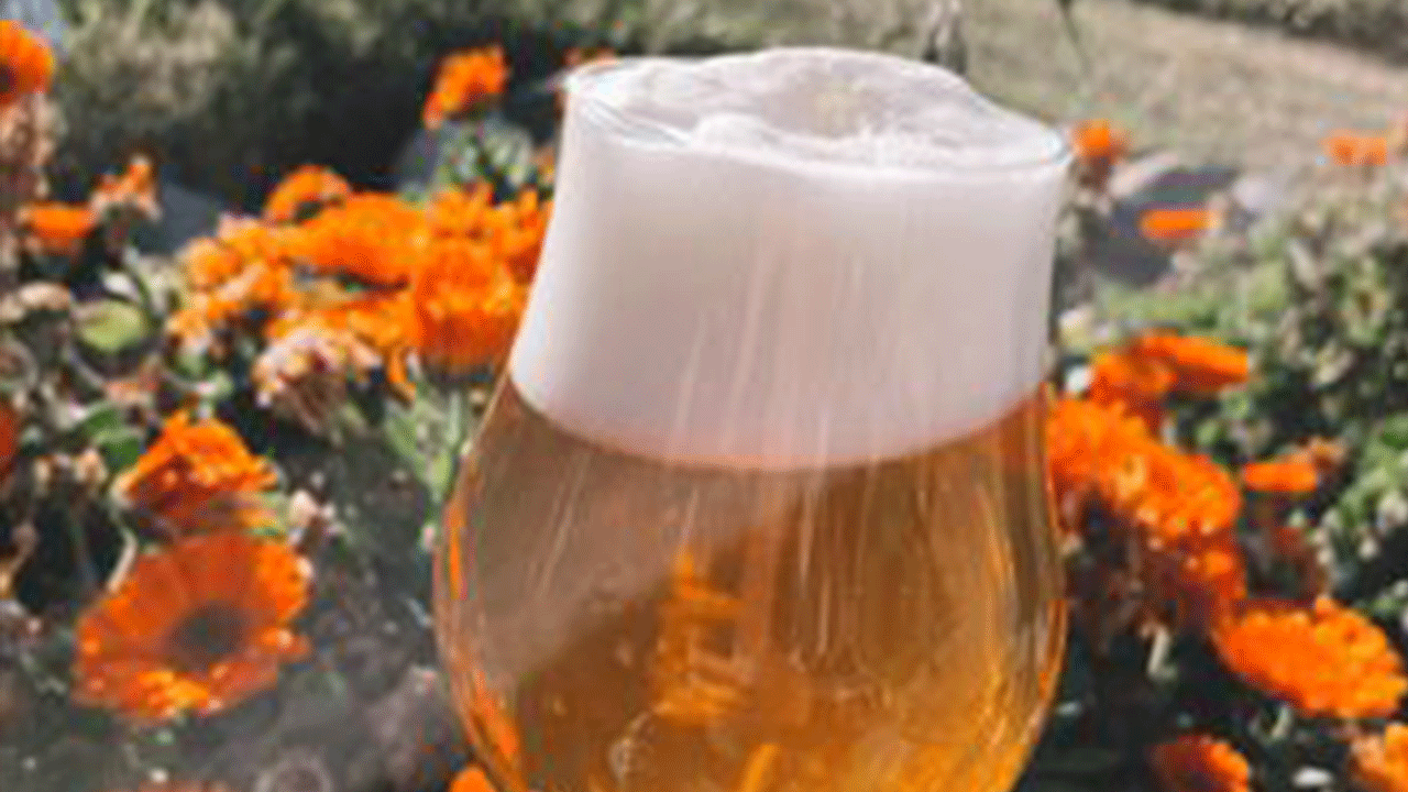 Cerveza Kunstmann celebra sus 30 años