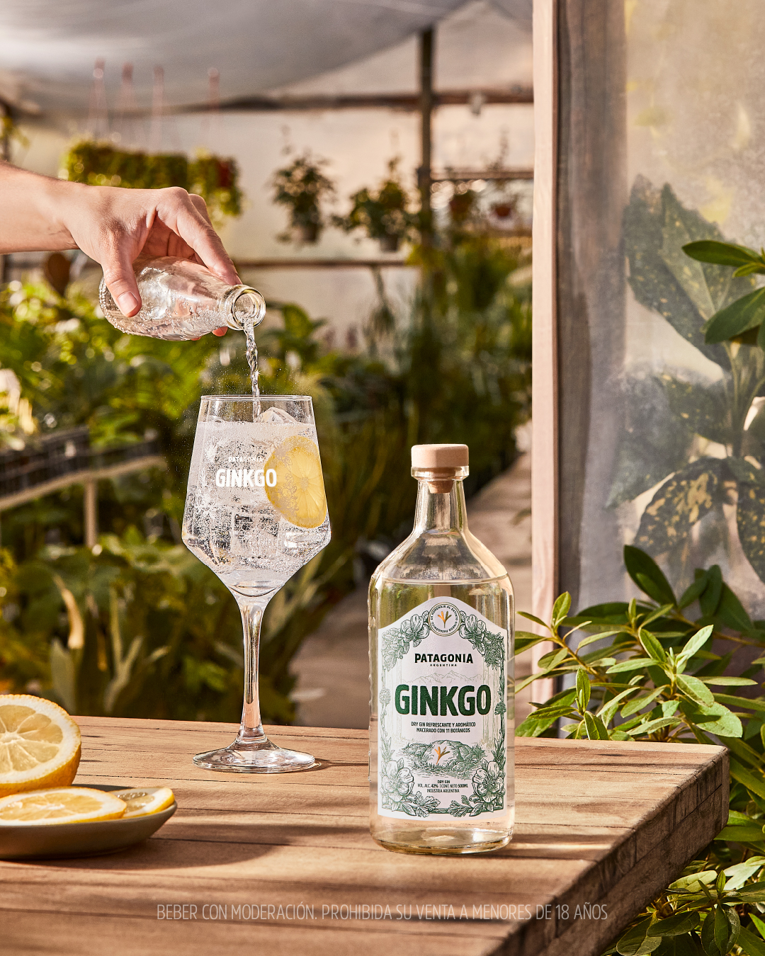Cerveza Patagonia invita a disfrutar el verano con su nuevo gin