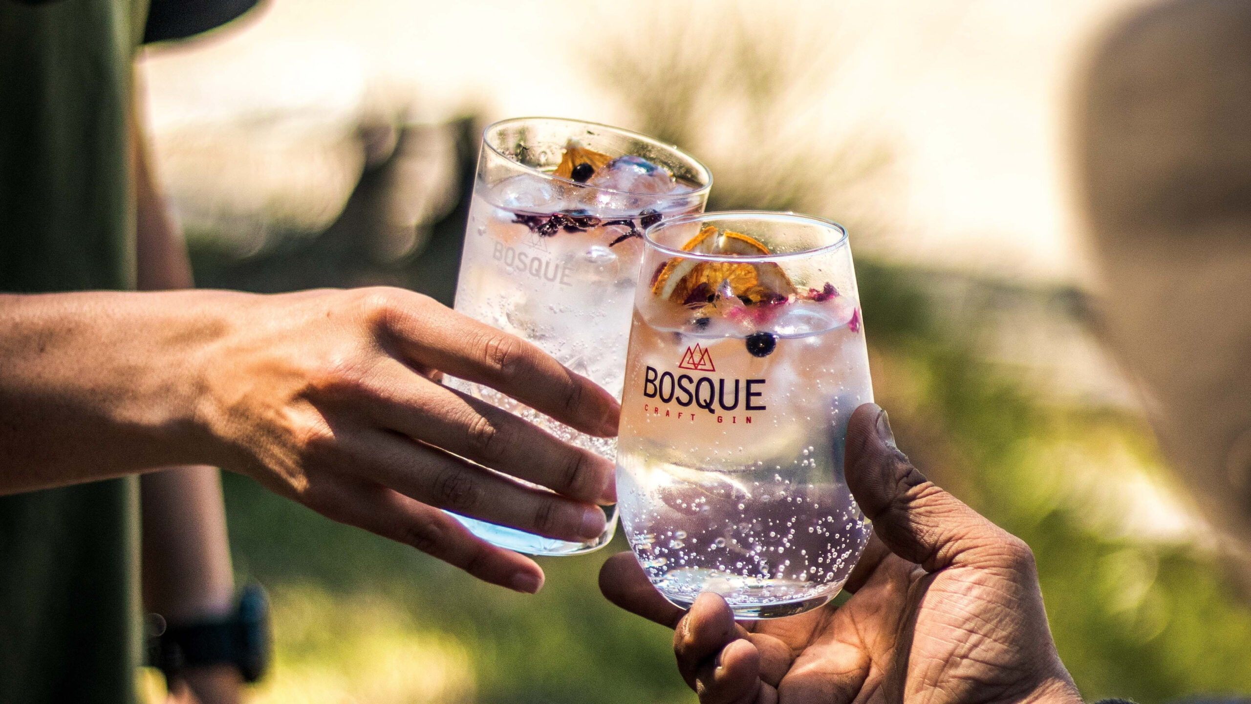 BOSQUE Craft Gin se suma a la Gin Tonic Week